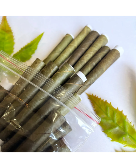 Produkt_Palm Leaf Blunt Cones with cornhusk/paper filter [50 per box] (Free Door Delivery)__Cannadusa_Marktplatz_Kaufen